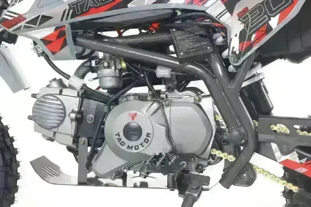 Close-up of dirt bike engine with chain drive and frame, labeled Tao Motor, off-road style.