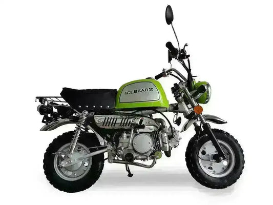 Green 125cc mini motorcycle with rugged tires, chrome accents, and rear cargo rack
