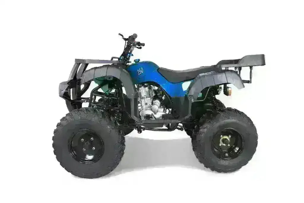 Left-side view of a blue Rhino 250 utility ATV with black fenders and front and rear cargo racks