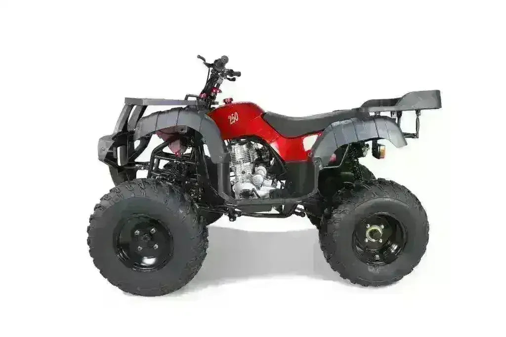 Left-side view of a red Rhino 250 utility ATV with black fenders and front and rear cargo racks