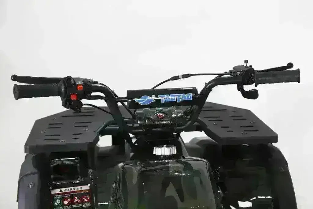 Rider's view of the Rhino 250 handlebars, switch cluster, fuel cap and front cargo rack