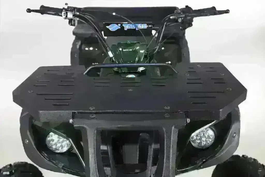 Front view of Rhino 250 utility ATV with headlights and black cargo rack