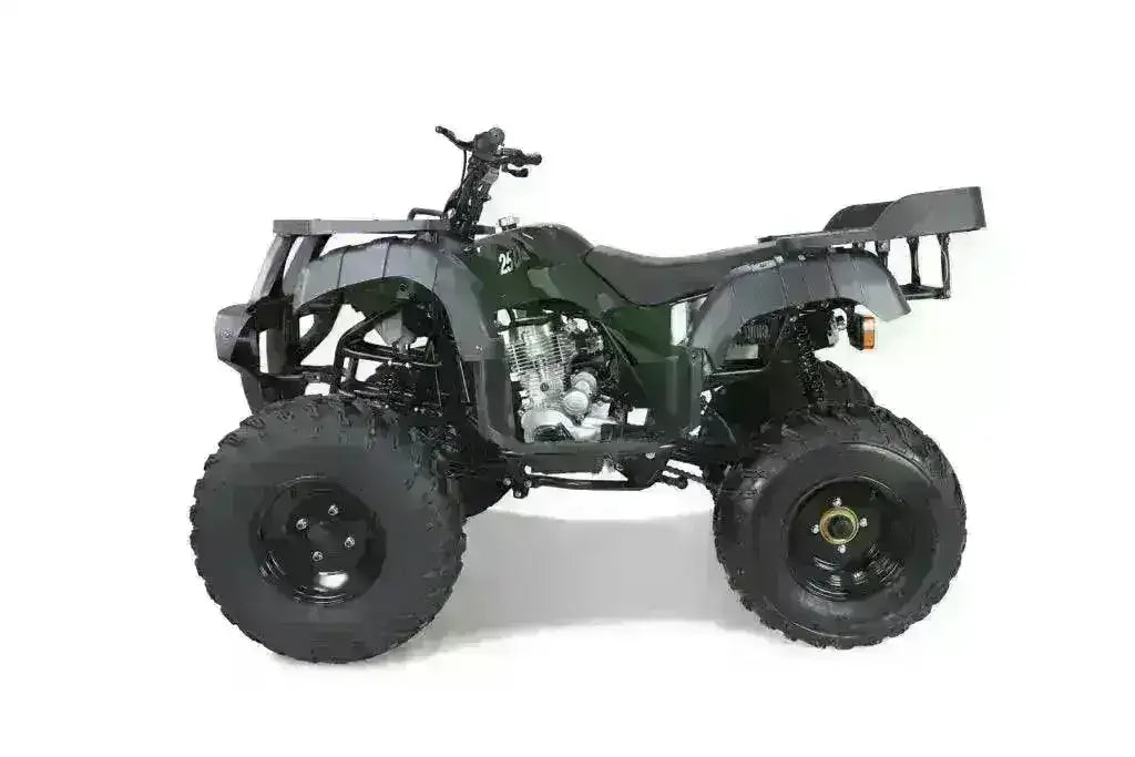 Dark green Rhino 250 utility ATV with black fenders and front and rear cargo racks, left-side view