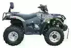 300cc utility ATV four wheeler with rugged tires and rear cargo rack, side view