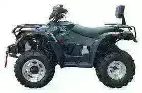 Black 300cc utility ATV with four large tires, rear backrest, and rugged design on white background