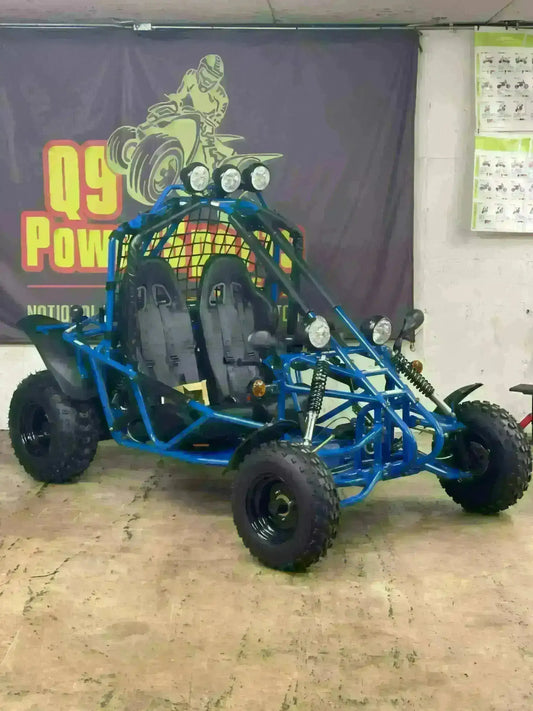 Blue 200cc double seat go-kart with off-road tires and roll cage indoors