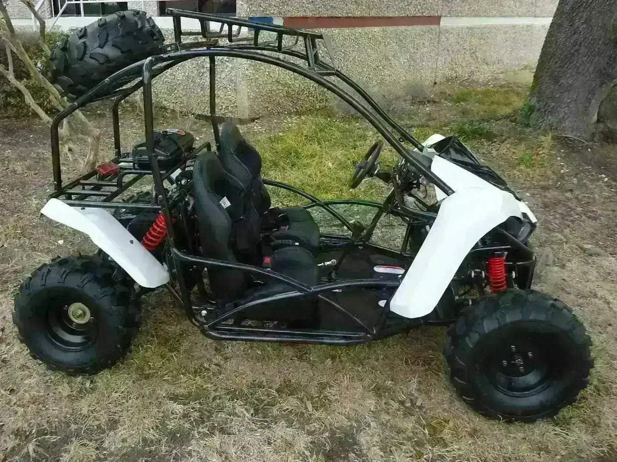 125cc 2-seater go-kart with roll cage, off-road tires, and dual suspension on grass