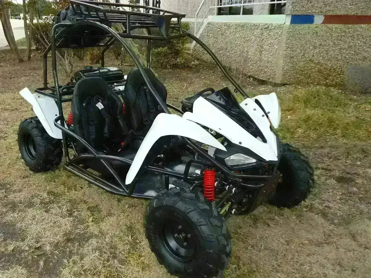 Warrior 2 seater 125cc go-kart with roll cage, off-road tires, and black seats parked outdoors