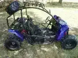 Blue 2-seater 125cc go-kart with roll cage, off-road tires, and rear-mounted spare tire on grass