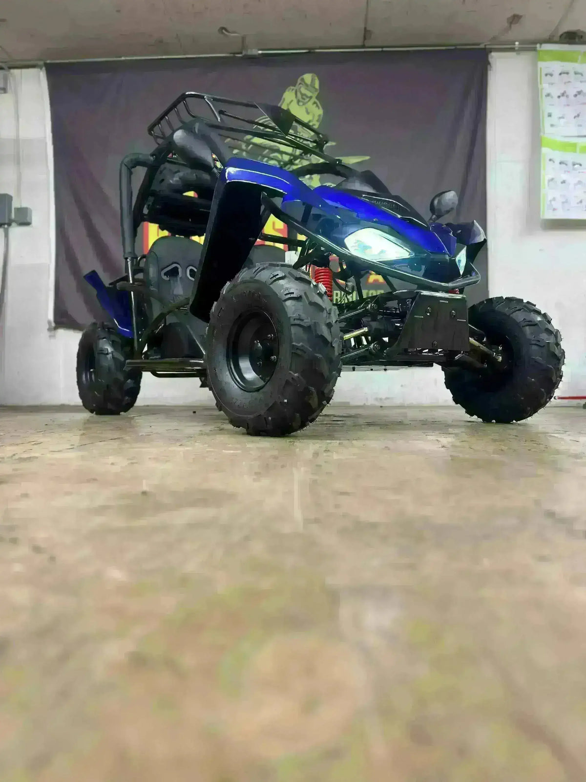 Blue 2-seater 125cc go-kart with off-road tires and roll cage, front view indoors