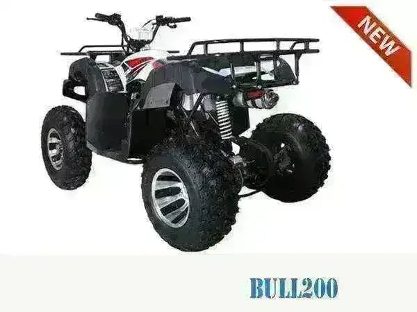 Black 200cc utility ATV with large knobby tires, rear cargo rack, and off-road features