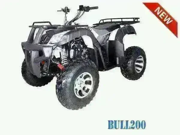 Black Bull 200cc utility ATV with rugged tires and front-rear racks against white background