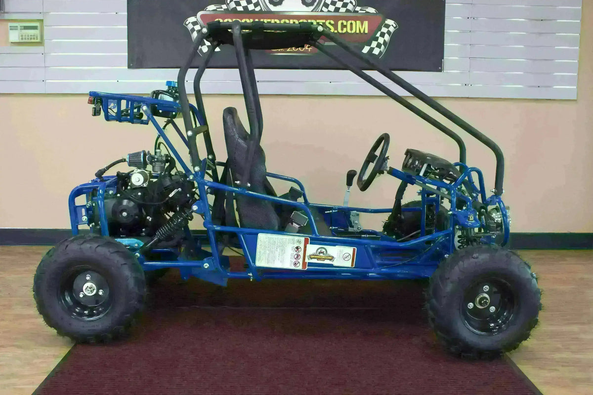 Blue 110cc kids go-kart with double seats and roll cage indoors