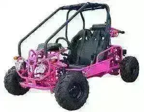Pink 110cc kids double seat go-kart with roll cage and off-road tires