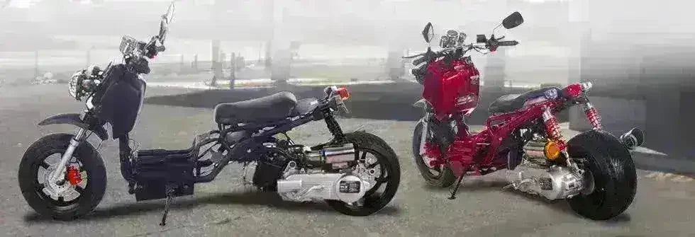 Two Maddog 50cc scooters, one black and one red, parked on pavement outdoors.