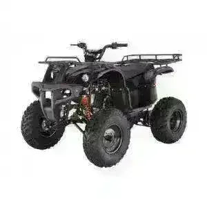 Black utility ATV with rugged wheels and rear cargo rack on white background