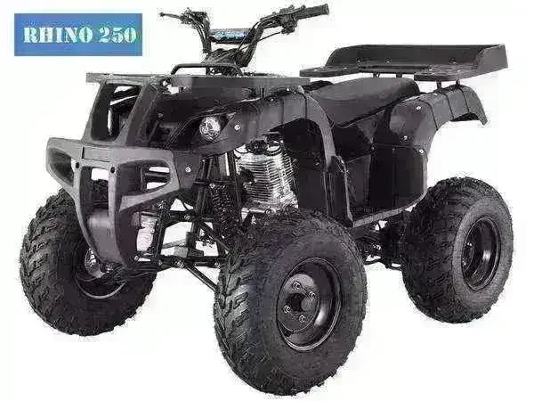 Black Rhino 250 utility ATV with front bumper, black cargo racks and knobby tires, front three-quarter view
