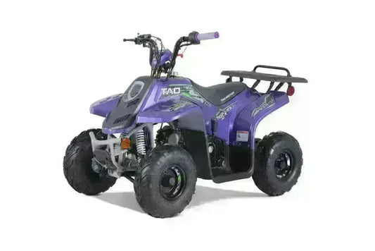 Rock 110 Kids ATV with reverse - Q9 PowerSports USA
