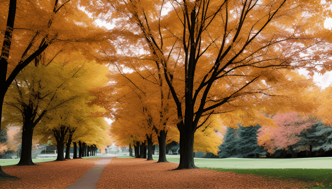 Scenic highway in Wisconsin lined with trees showing vibrant fall foliage colors