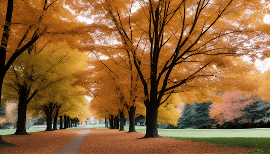 Scenic highway in Wisconsin lined with trees showing vibrant fall foliage colors