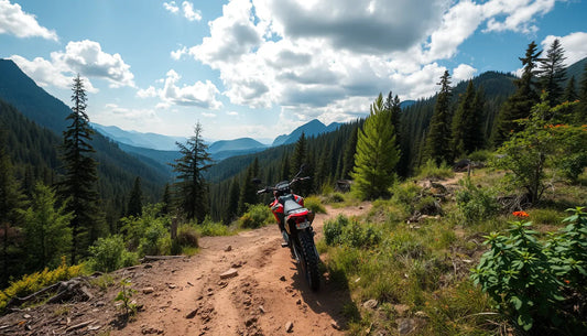 Dirt bike parked on a rugged mountain trail surrounded by pine trees and scenic landscape.