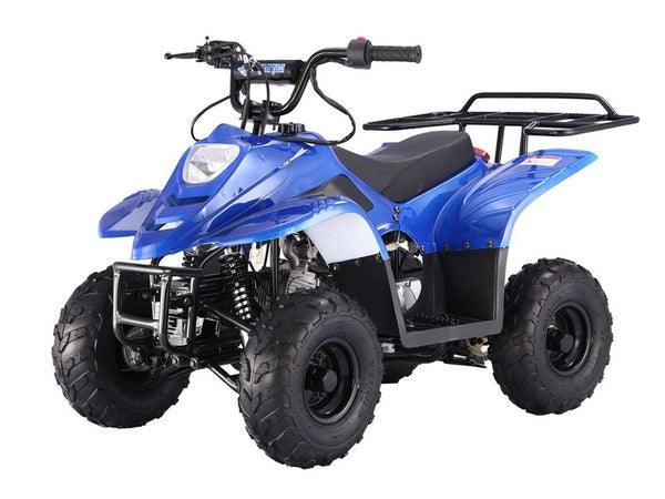 Blue small 110cc ATV with rugged tires, front headlight, and rear cargo rack on white background