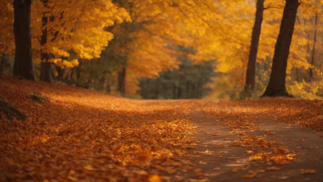 scenic forest trail covered in autumn leaves with vibrant fall foliage and tall trees