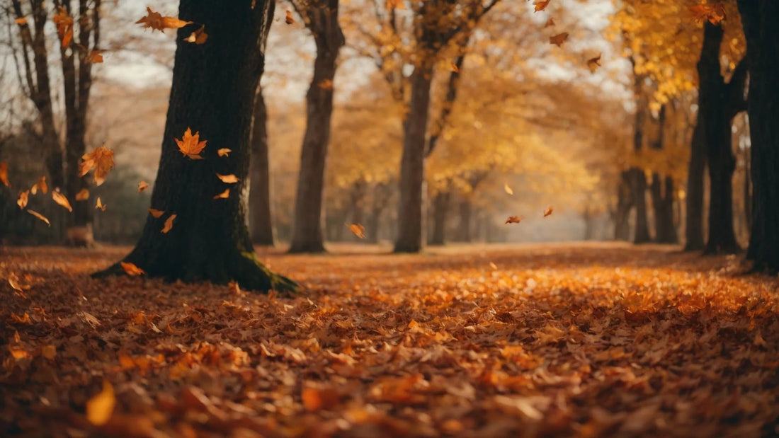 Autumn leaves falling from trees in a scenic forest park, covering the ground with orange foliage