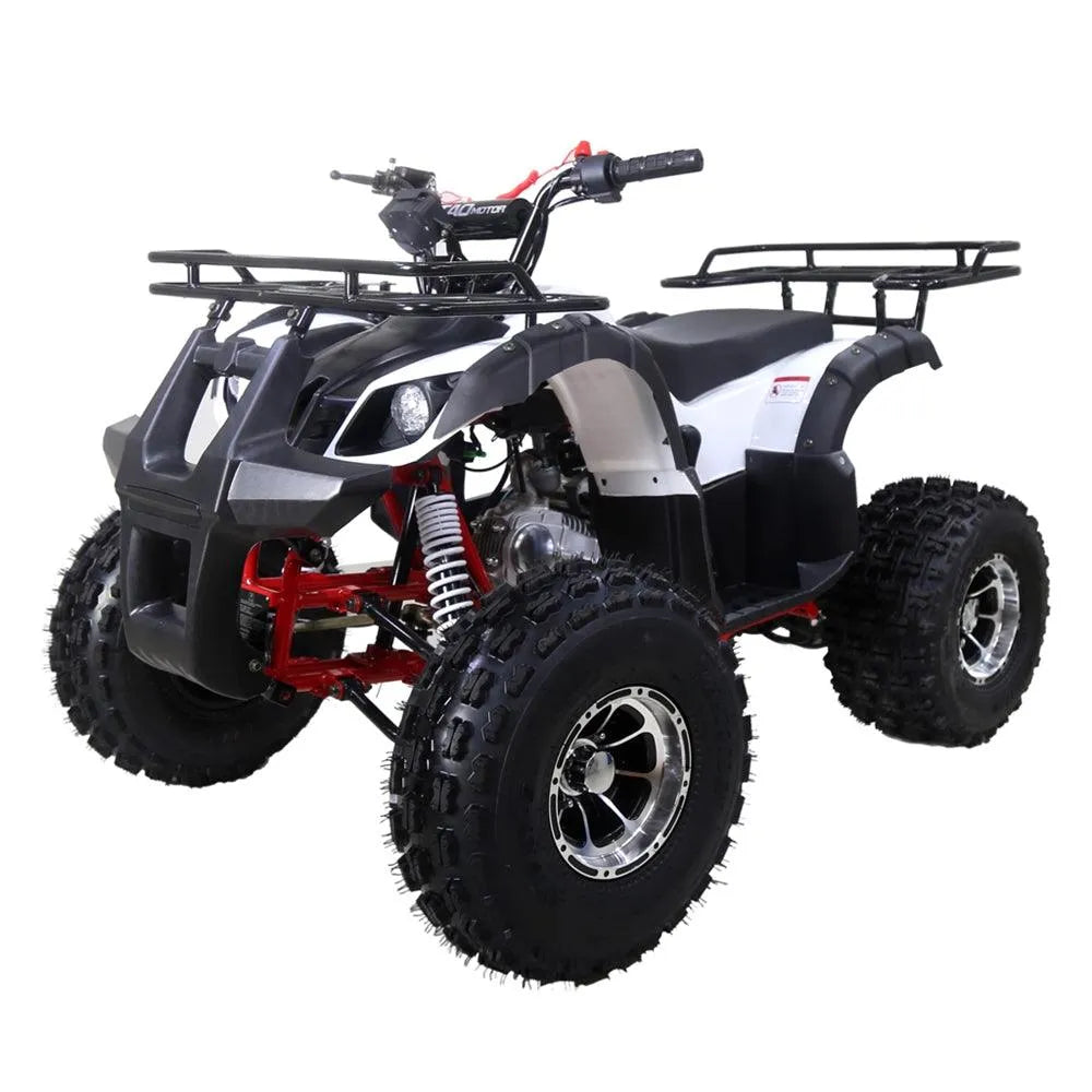 Black and white all-terrain ATV with rugged tires and front rack, off-road vehicle