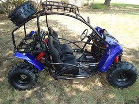 Two-seat off-road go-kart with roll cage and spare tire parked on grass