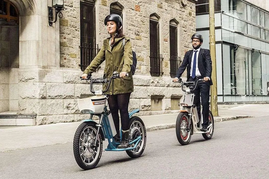 GeeBee Professional Grade Electric Scooters