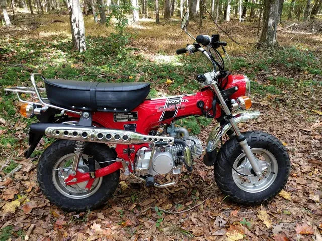 Red mini dirt bike with off-road tires parked in a wooded area on fallen leaves