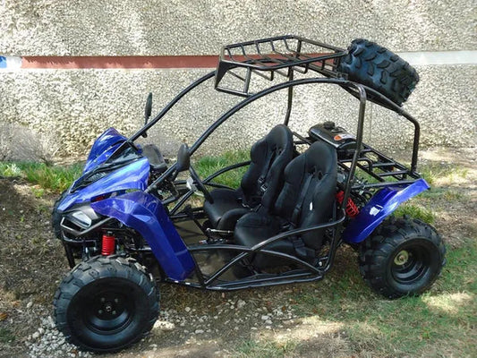 Blue off-road go-kart with two seats, roll cage, roof rack, and spare tire parked outdoors.