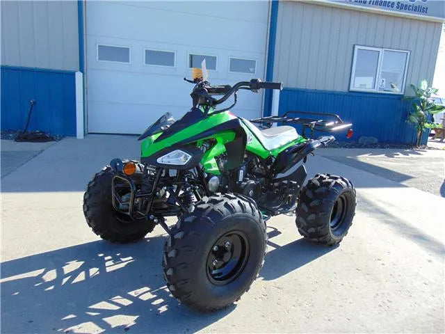 Green and black ATV parked outdoors on concrete in front of a garage