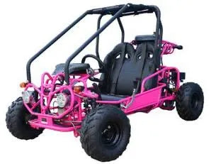 Pink two-seat go-kart with roll cage and off-road tires, ideal for beginners and outdoor fun