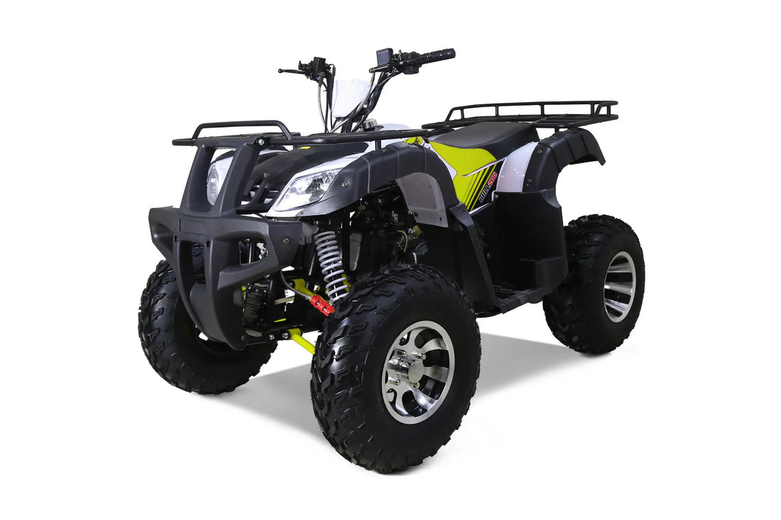 The Fully Automatic Tao Motor Bull 200 Utility ATVs