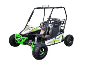 Green and white go-kart with roll cage, off-road tires, and bucket seats on white background