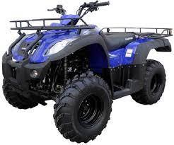 Blue 250cc ATV quad with rugged tires and front-rear cargo racks