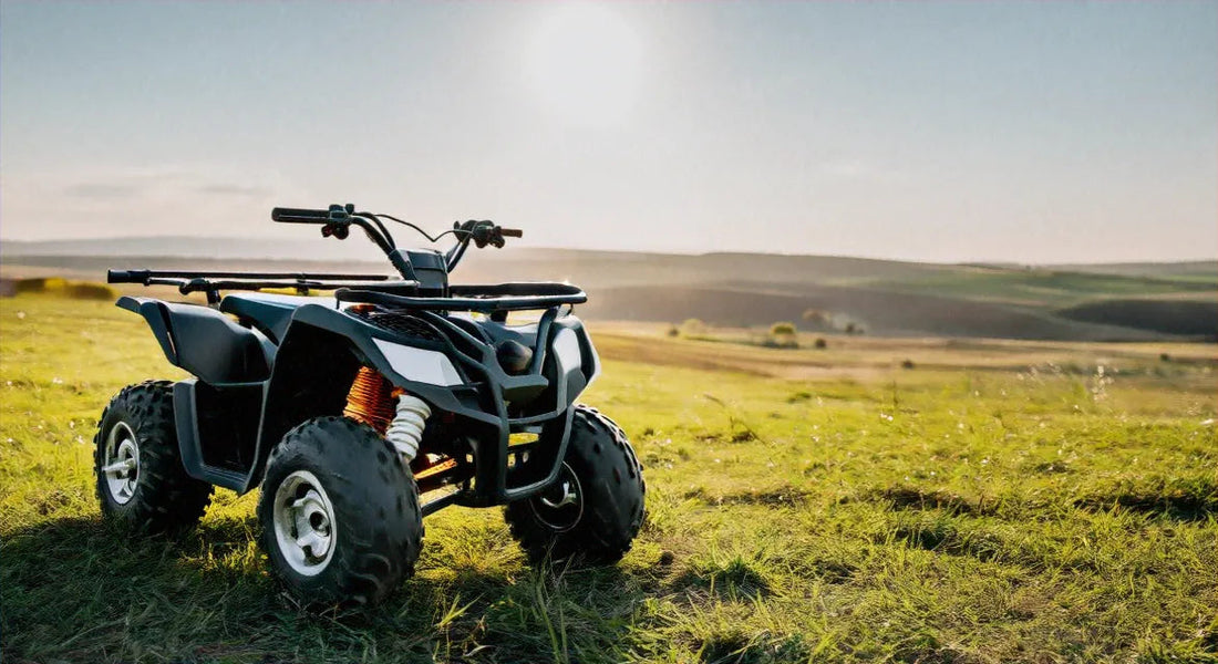Black ATV four-wheeler parked on grassy field under bright sunlight, outdoor adventure vehicle