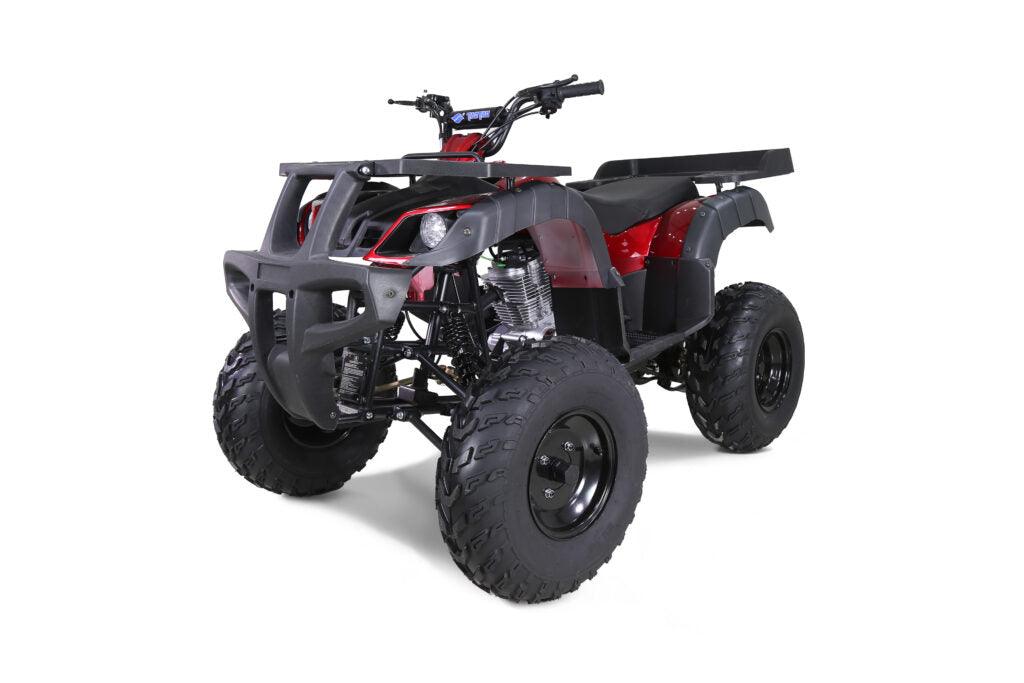 Red and black Tao Motor Rhino 250 ATV four-wheeler with rugged off-road tires