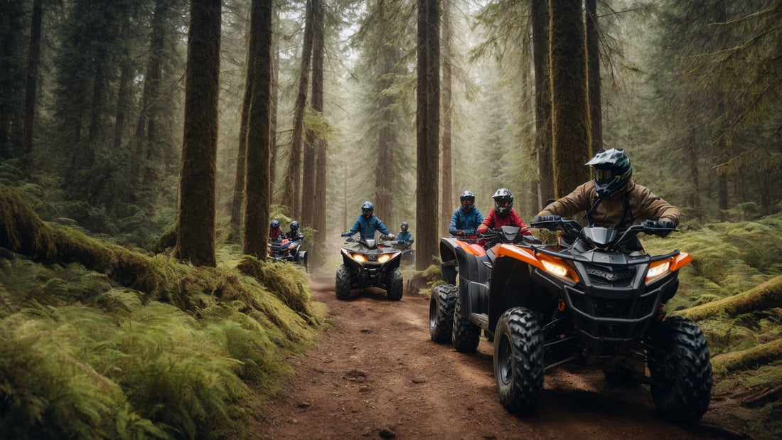 Group riding gas powered ATVs on forest trail, off-road four wheelers in pine woods