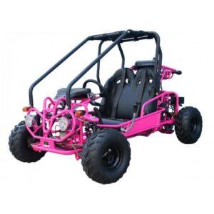 Pink double seat 110cc kids go-kart with roll cage and off-road tires