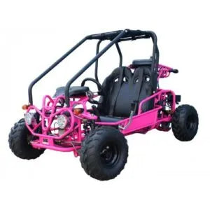 Pink youth go-kart with roll cage, two seats, and rugged off-road tires