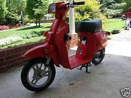 Red Honda Spree scooter parked outdoors on a driveway, lawn and trees in background