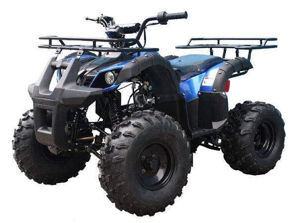 Blue 125cc gas powered youth utility ATV with large tires and front rack