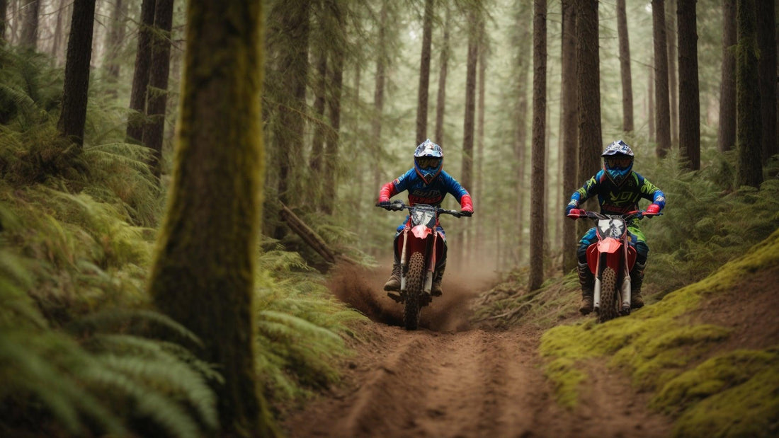 Two riders on dirt bikes navigating a forest trail surrounded by tall trees and ferns.