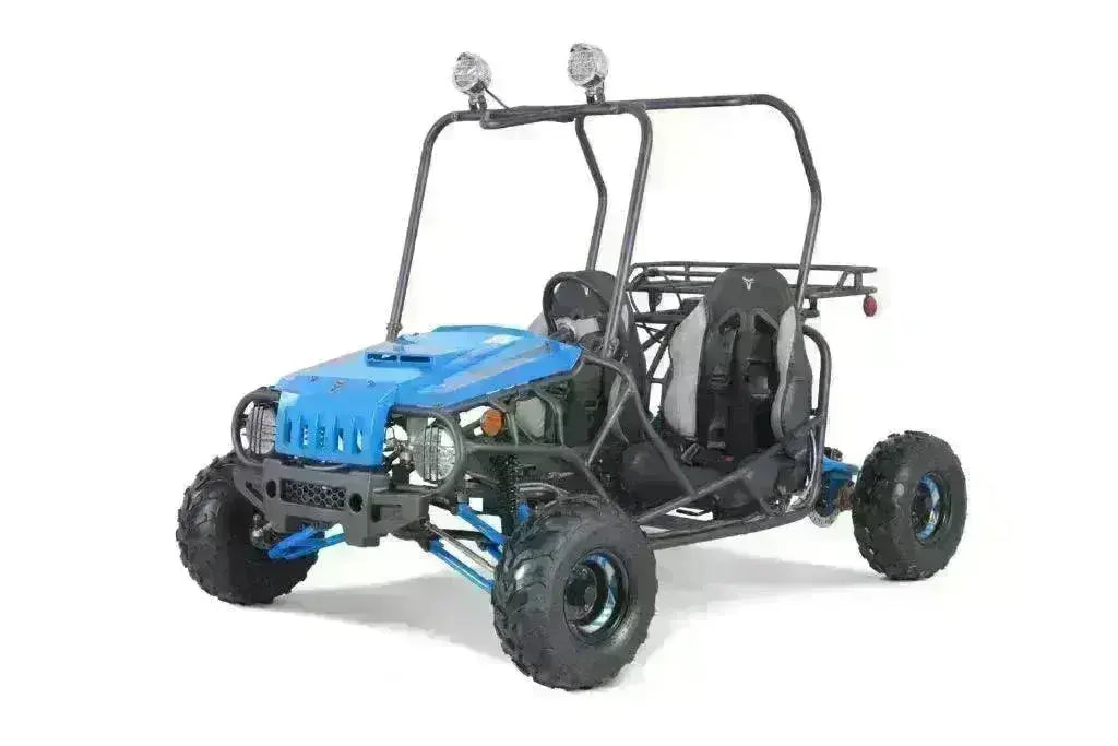 Blue 125cc youth go-kart with roll cage, off-road tires, and dual seats on white background