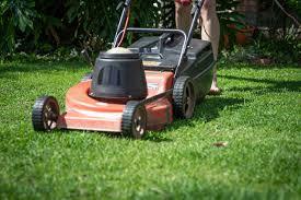 Person using red lawn mower on green grass in a residential yard, outdoor maintenance scene.