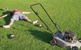 Neighbors are always cutting lawn: Dealing with Excessive Lawn Maintenance