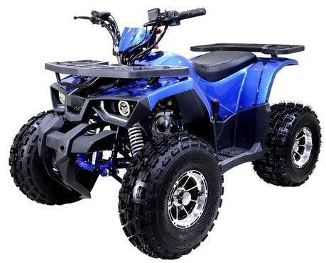 New TaoTao Raptor 125cc ATV for kids